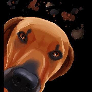 Artwork thumbnail, Curious Rhodesian Ridgeback Dog by alwe-designs