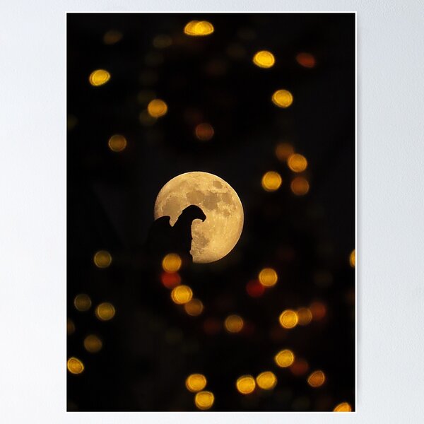 Item preview, Hollywood Christmas Eagle designed and sold by Donnellywood.