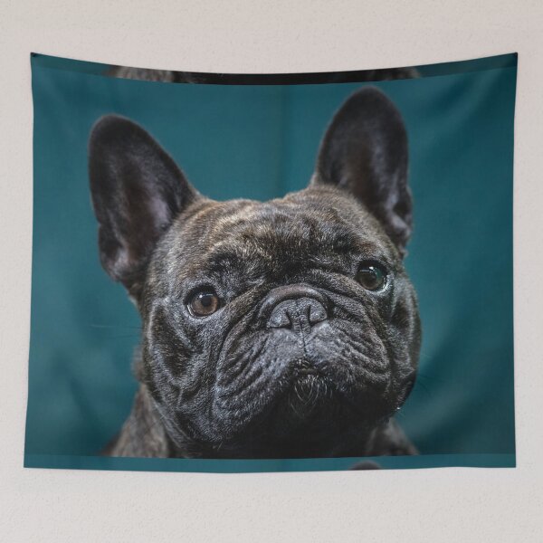 Item preview, French Bulldog Dog cute pet portrait dogs pets sweet full face puppy designed and sold by Coolstuff4you71.