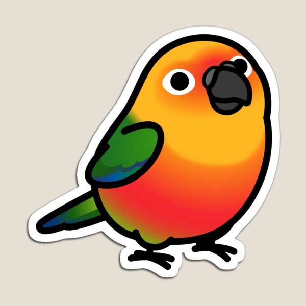 Item preview, Chubby Jenday Conure designed and sold by birdhism.