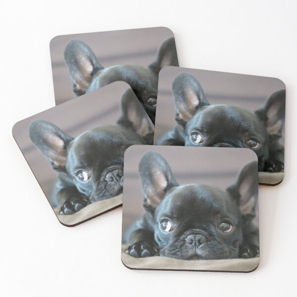 Item preview, French Bulldog Dog cute pet portrait dogs pets sweet full face puppy designed and sold by Coolstuff4you71.