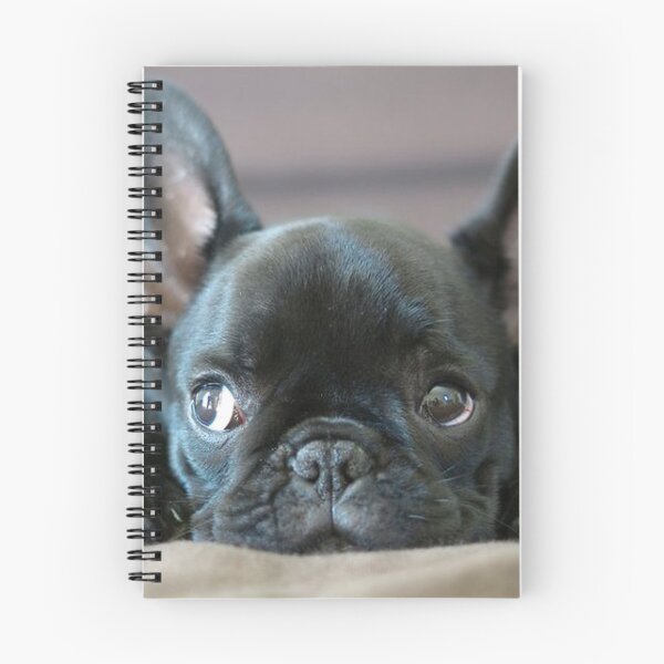 Item preview, French Bulldog Dog cute pet portrait dogs pets sweet full face puppy designed and sold by Coolstuff4you71.