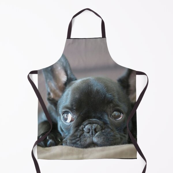 Item preview, French Bulldog Dog cute pet portrait dogs pets sweet full face puppy designed and sold by Coolstuff4you71.