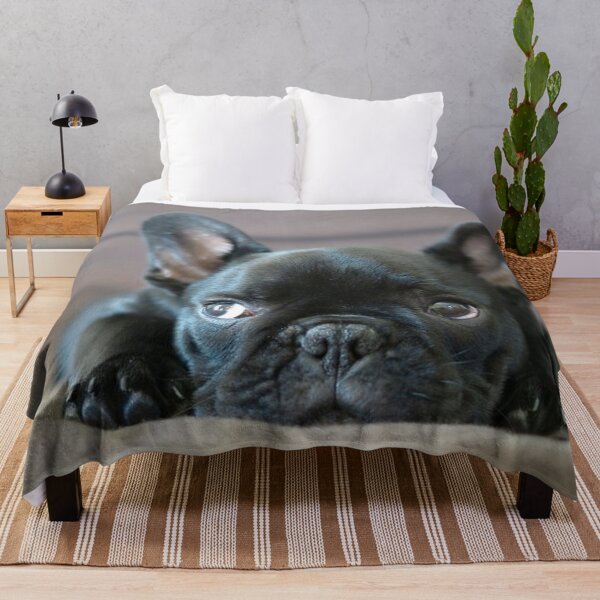 Item preview, French Bulldog Dog cute pet portrait dogs pets sweet full face puppy designed and sold by Coolstuff4you71.