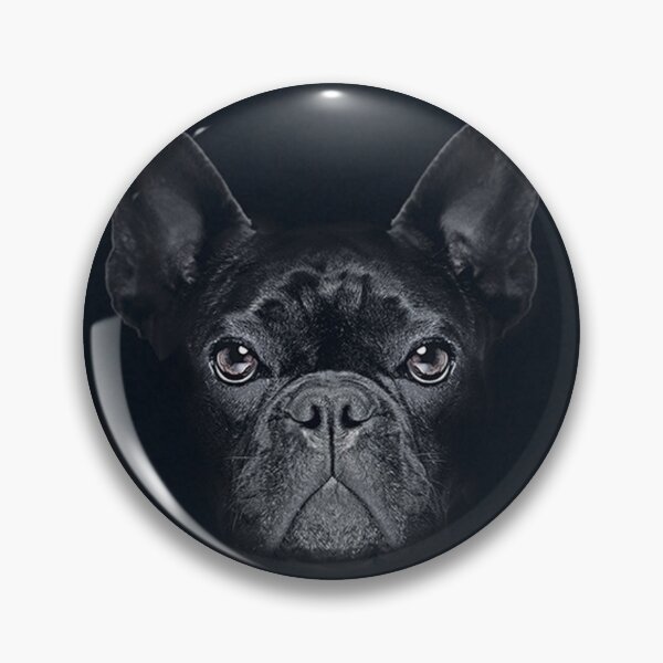 Item preview, French Bulldog Dog cute pet portrait dogs pets sweet full face puppy designed and sold by Coolstuff4you71.
