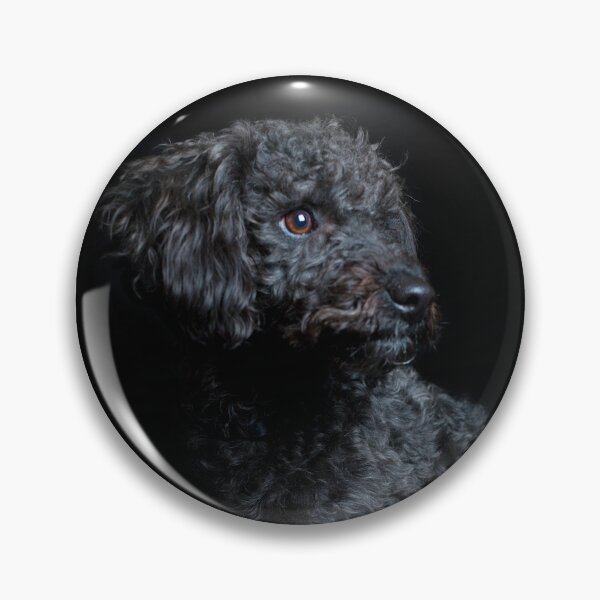Item preview, Black Labradoodle Profile designed and sold by Shauna Kenworthy.