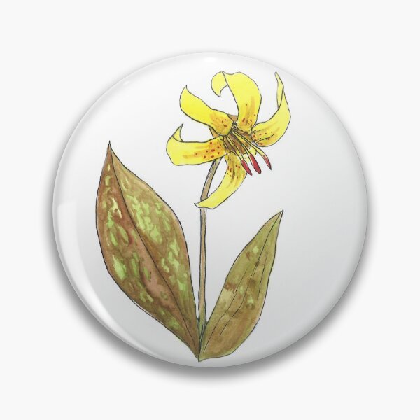 Item preview, Yelllow Trout lily designed and sold by Maineserena.
