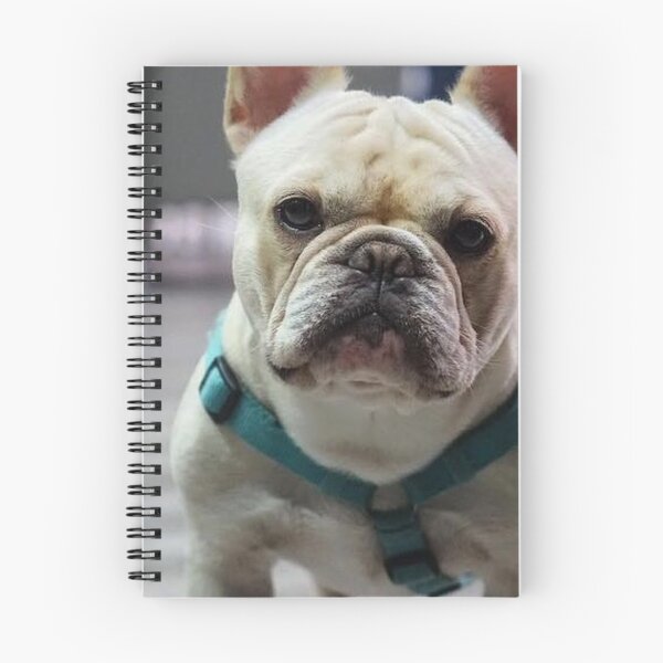 Item preview, French Bulldog Dog cute pet portrait dogs pets sweet full face puppy designed and sold by Coolstuff4you71.