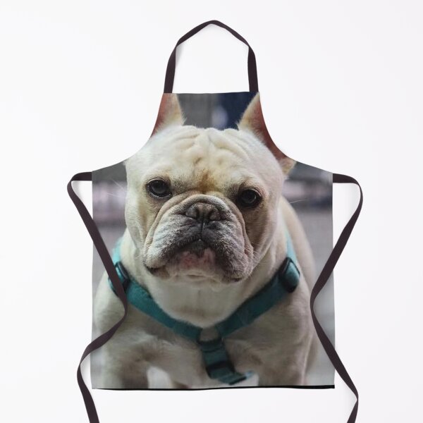 Item preview, French Bulldog Dog cute pet portrait dogs pets sweet full face puppy designed and sold by Coolstuff4you71.