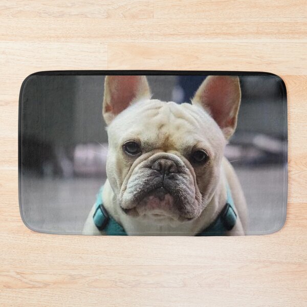 Item preview, French Bulldog Dog cute pet portrait dogs pets sweet full face puppy designed and sold by Coolstuff4you71.