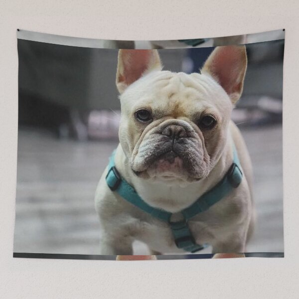 Item preview, French Bulldog Dog cute pet portrait dogs pets sweet full face puppy designed and sold by Coolstuff4you71.