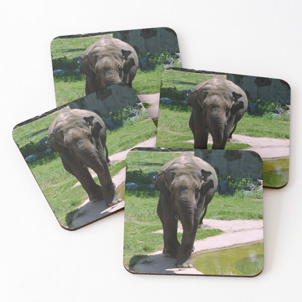 Item preview, African elephant (Loxodonta) -Smithsonian’s National Zoo and Conservation Biology Institute’s designed and sold by dbernadette930.