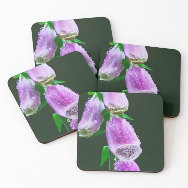 Item preview, Foxclove after rain designed and sold by DVart-nz.