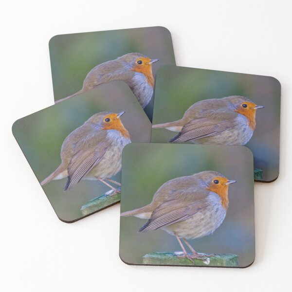 Item preview, Robin designed and sold by derekbeattie.