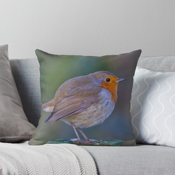 Item preview, Robin designed and sold by derekbeattie.