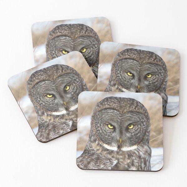 Item preview, Great Grey Owl In Snow designed and sold by SophieZylaPhoto.