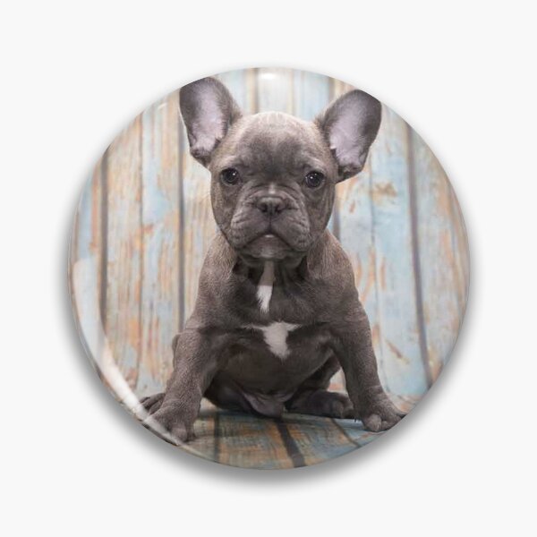 Item preview, French Bulldog Dog cute pet portrait dogs pets sweet puppy designed and sold by Coolstuff4you71.