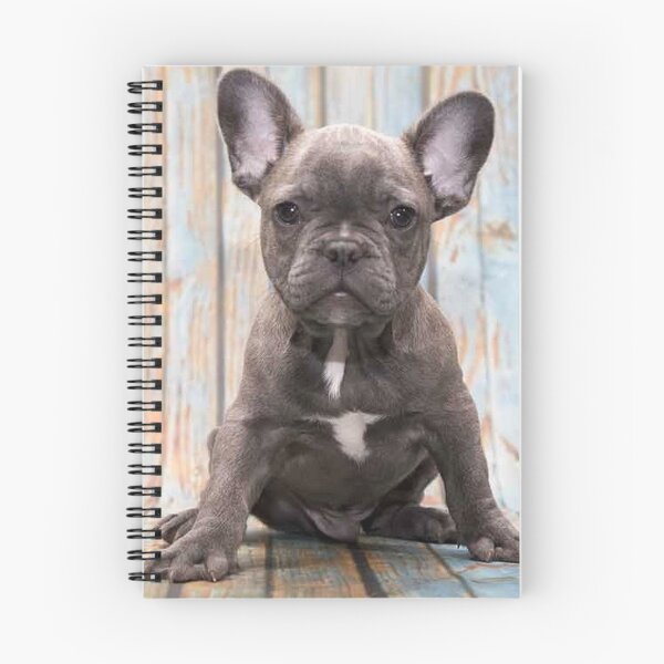 Item preview, French Bulldog Dog cute pet portrait dogs pets sweet puppy designed and sold by Coolstuff4you71.