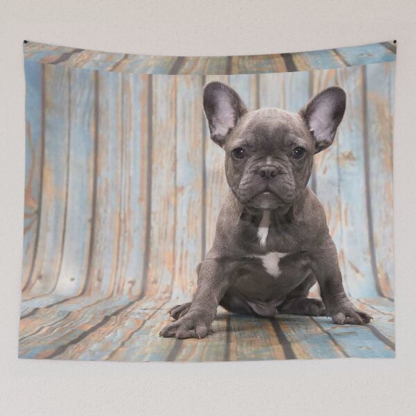 Item preview, French Bulldog Dog cute pet portrait dogs pets sweet puppy designed and sold by Coolstuff4you71.