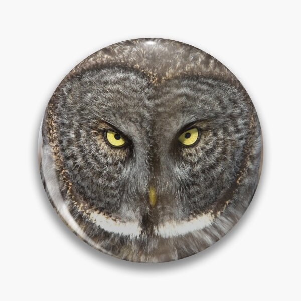 Item preview, Great Grey Owl In Snow designed and sold by SophieZylaPhoto.