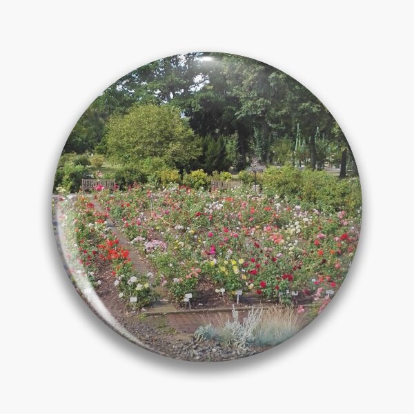 Item preview, Europa Rosarium rose garden designed and sold by wineandwords.