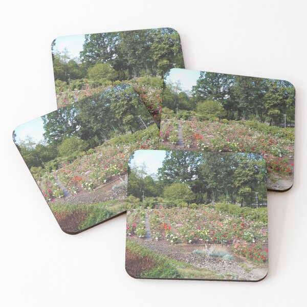Item preview, Europa Rosarium rose garden designed and sold by wineandwords.