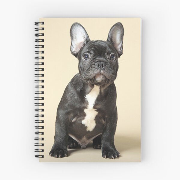 Item preview, French Bulldog Dog cute pet portrait dogs pets sweet puppy designed and sold by Coolstuff4you71.