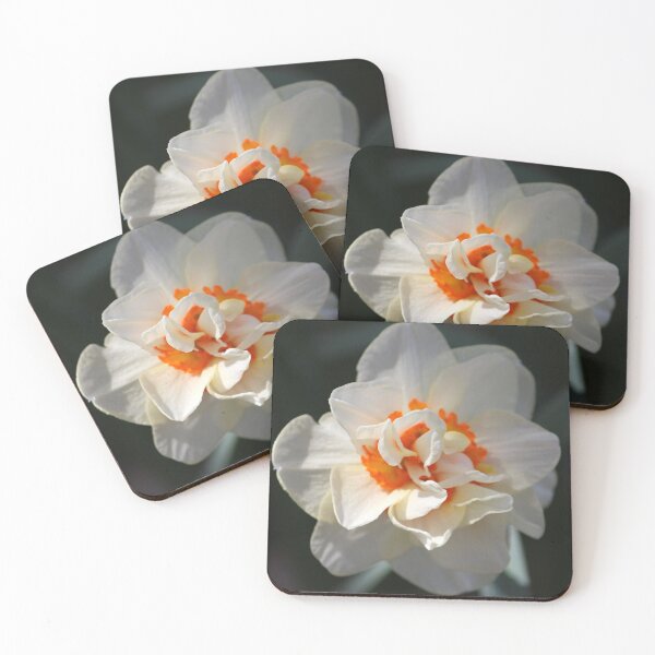 Item preview, Blooming Double Daffodil  designed and sold by Cynthia48.