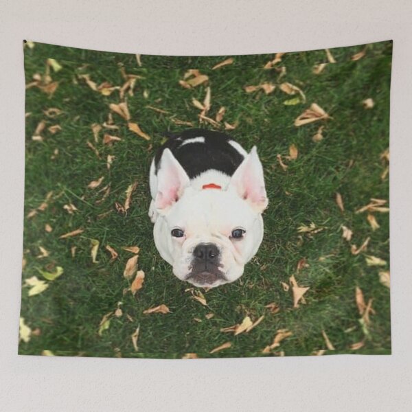 Item preview, French Bulldog Dog cute pet portrait dogs pets sweet puppy designed and sold by Coolstuff4you71.