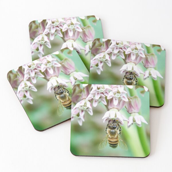 Item preview, Honey Bee and Common Milkweed designed and sold by SophieZylaPhoto.