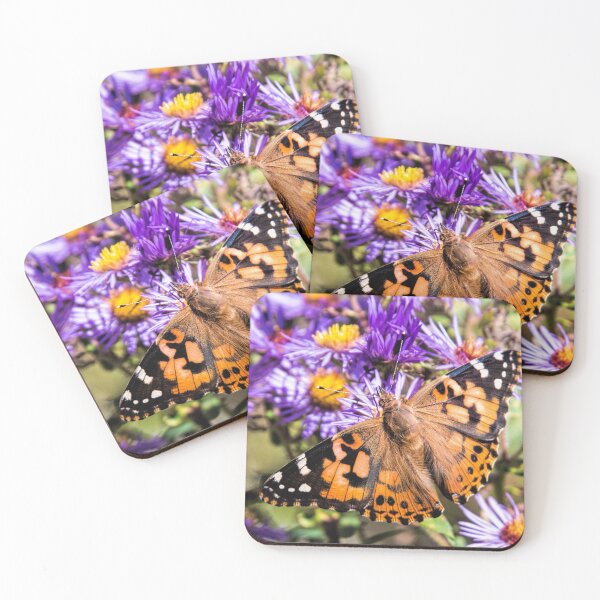 Item preview, Painted Lady on New England Aster designed and sold by SophieZylaPhoto.