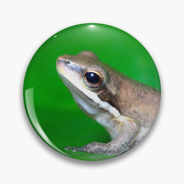 Item preview, Frog on a green leaf designed and sold by Bobfreckle.