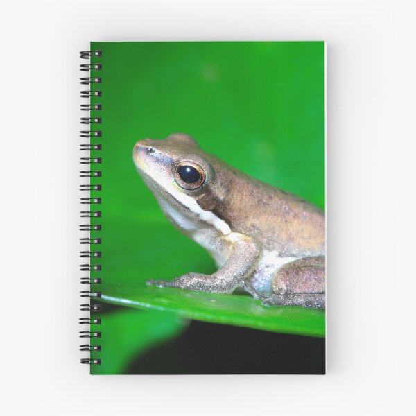 Item preview, Frog on a green leaf designed and sold by Bobfreckle.