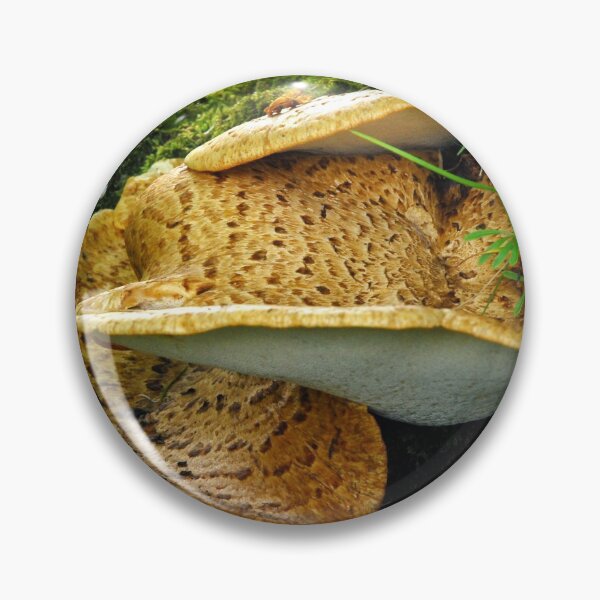 Item preview, Dryad's Saddle designed and sold by Billlee.