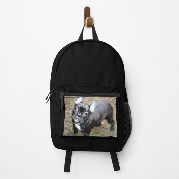 Item preview, French Bulldog Dog cute pet portrait dogs pets sweet puppy designed and sold by Coolstuff4you71.