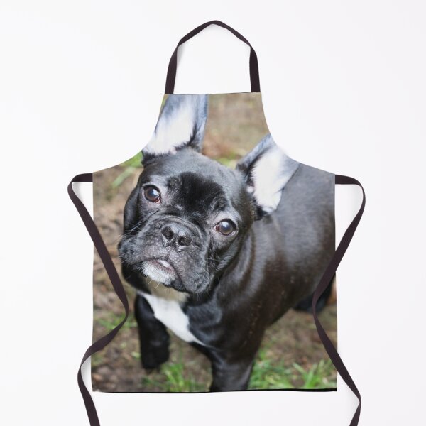 Item preview, French Bulldog Dog cute pet portrait dogs pets sweet puppy designed and sold by Coolstuff4you71.