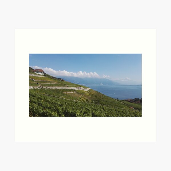 Item preview, Steep vineyards in Vaud overlooking Lake Geneva designed and sold by wineandwords.