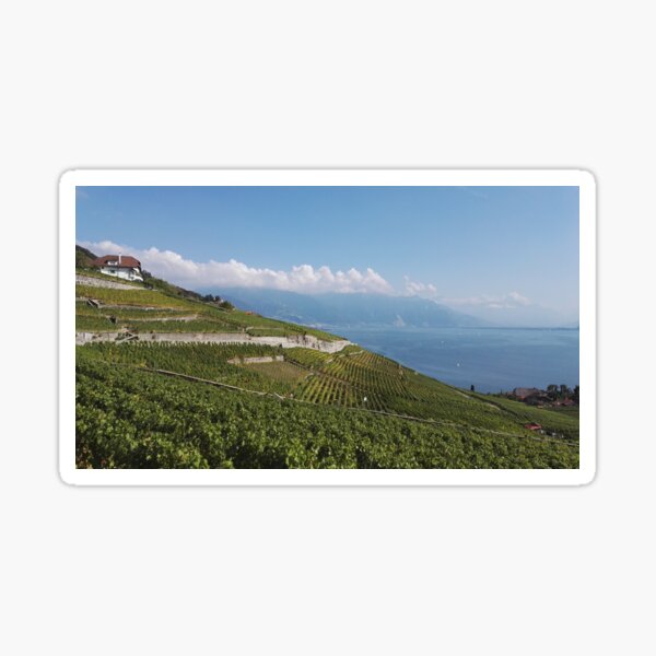 Item preview, Steep vineyards in Vaud overlooking Lake Geneva designed and sold by wineandwords.