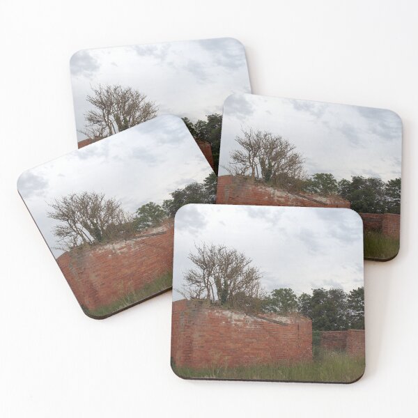 Item preview, Nature Taking Over, Derelict Building. designed and sold by Billlee.