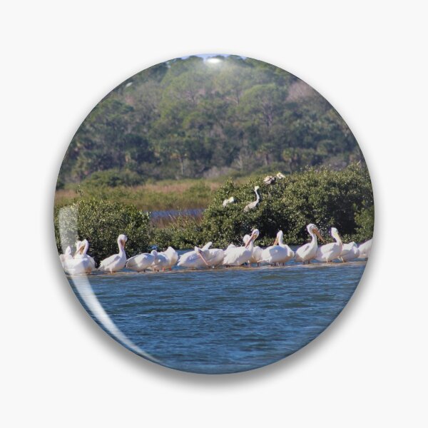 Item preview, Flock of White Pelicans on a Sandbar designed and sold by banditandkoko.