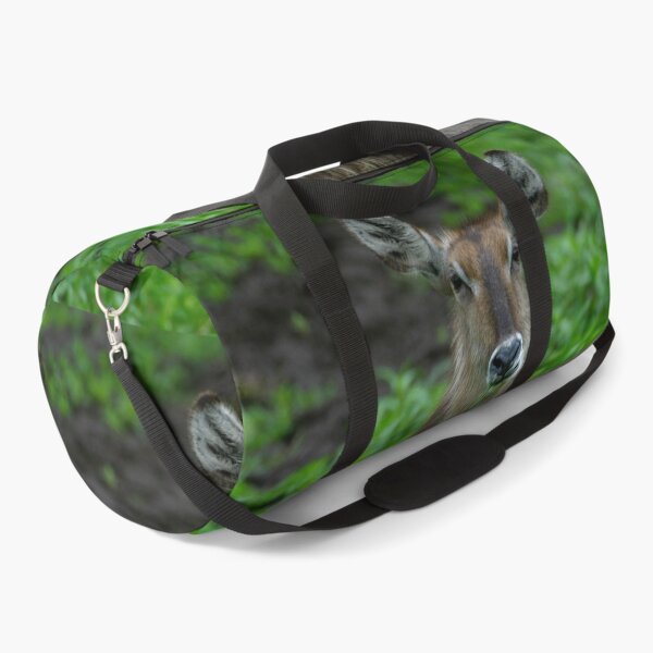 Item preview, Nom Nom Nom... African Water Buck designed and sold by Totallyalive.