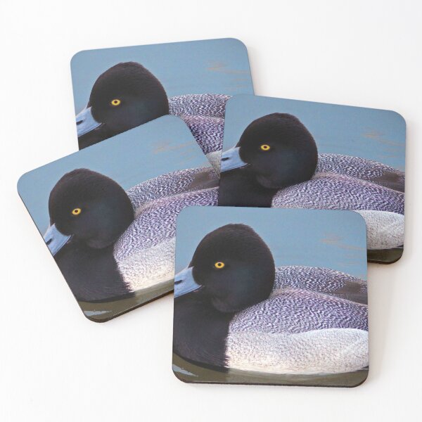 Item preview, Greater Scaup  designed and sold by Cynthia48.