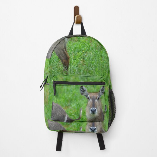 Item preview, Keep Walking... African Water Buck designed and sold by Totallyalive.