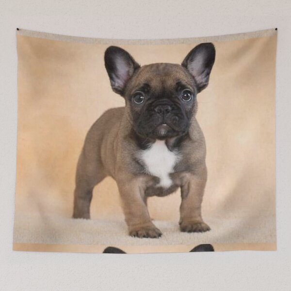 Item preview, French Bulldog Dog cute pet portrait dogs pets sweet puppy designed and sold by Coolstuff4you71.