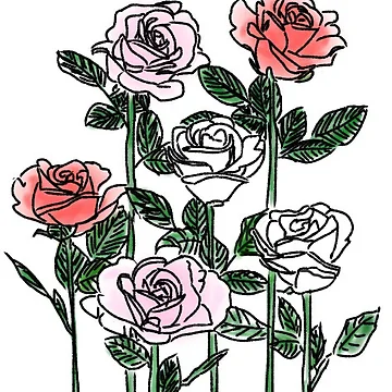 Artwork thumbnail, Colored Roses by KayMR