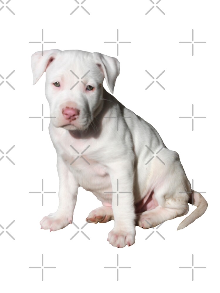 Weisser Dogo Argentino Baby Body Von Verdelizoficial Redbubble