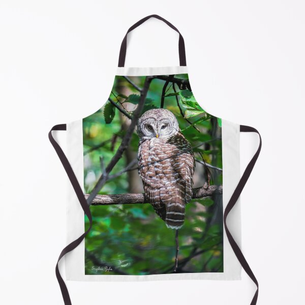 Artikelvorschau, Barred Owl des Central Park entworfen und verkauft von SophieZylaPhoto.