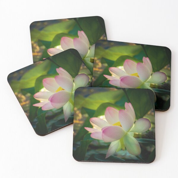 Item preview, Lotus glow designed and sold by LaskoPhotos.