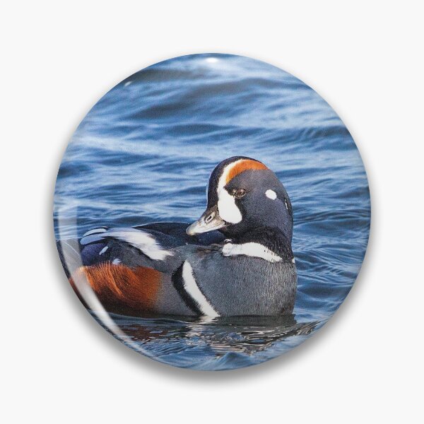 Item preview, Harlequin Duck of the Atlantic Ocean designed and sold by SophieZylaPhoto.