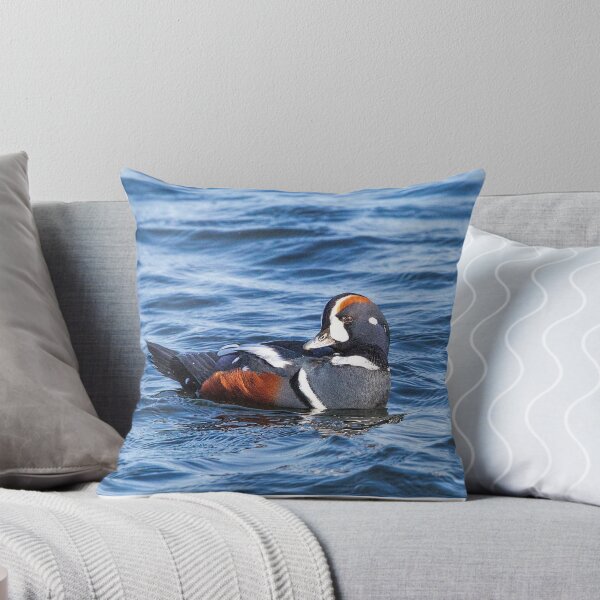 Item preview, Harlequin Duck of the Atlantic Ocean designed and sold by SophieZylaPhoto.
